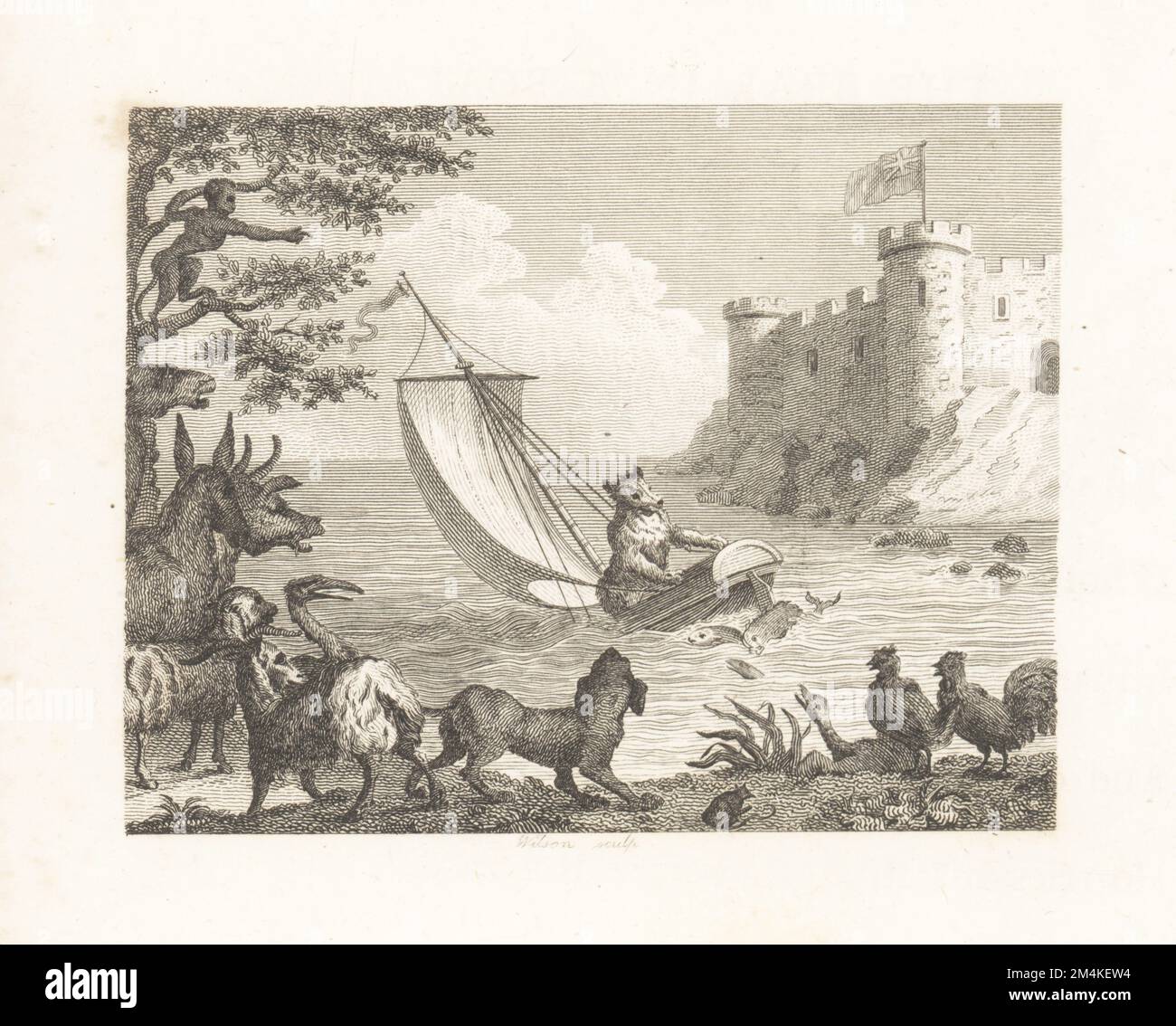 The Bear in a Boat. An arrogant bear boards a sailboat and runs aground near a castle. A monkey, dog, cow, goose, mouse and other animals laugh from the shore. Copperplate engraving by Wilson after an illustration by Hubert Francois Bourguignon Gravelot from Fables by John Gay, with a Life of the Author, John Stockdale, London, 1793. Stock Photo