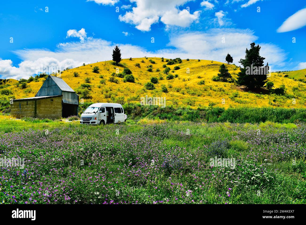 workers van in rural campsite at orchard. Stock Photo
