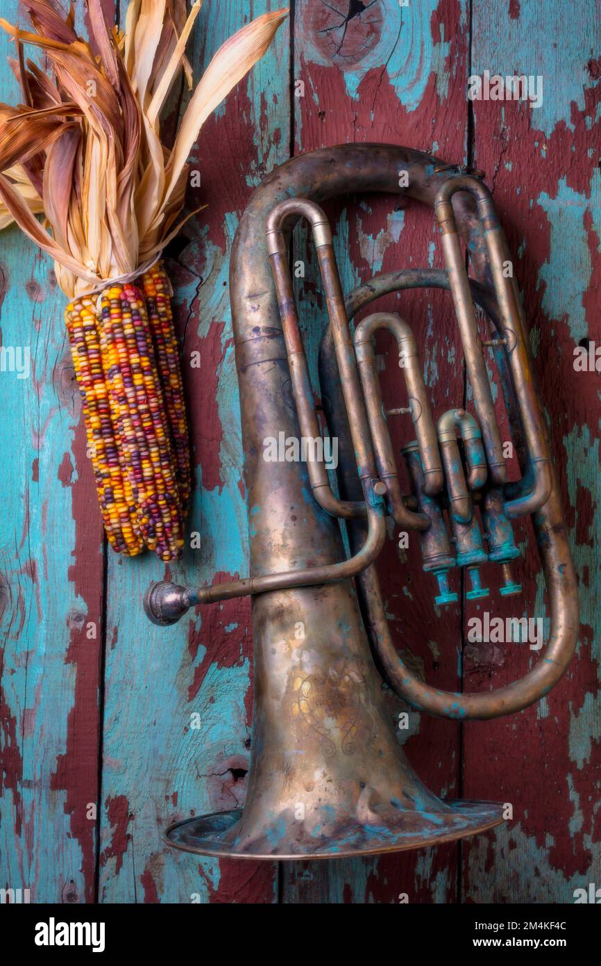 Old Horn And Indian Corn Still Life Stock Photo