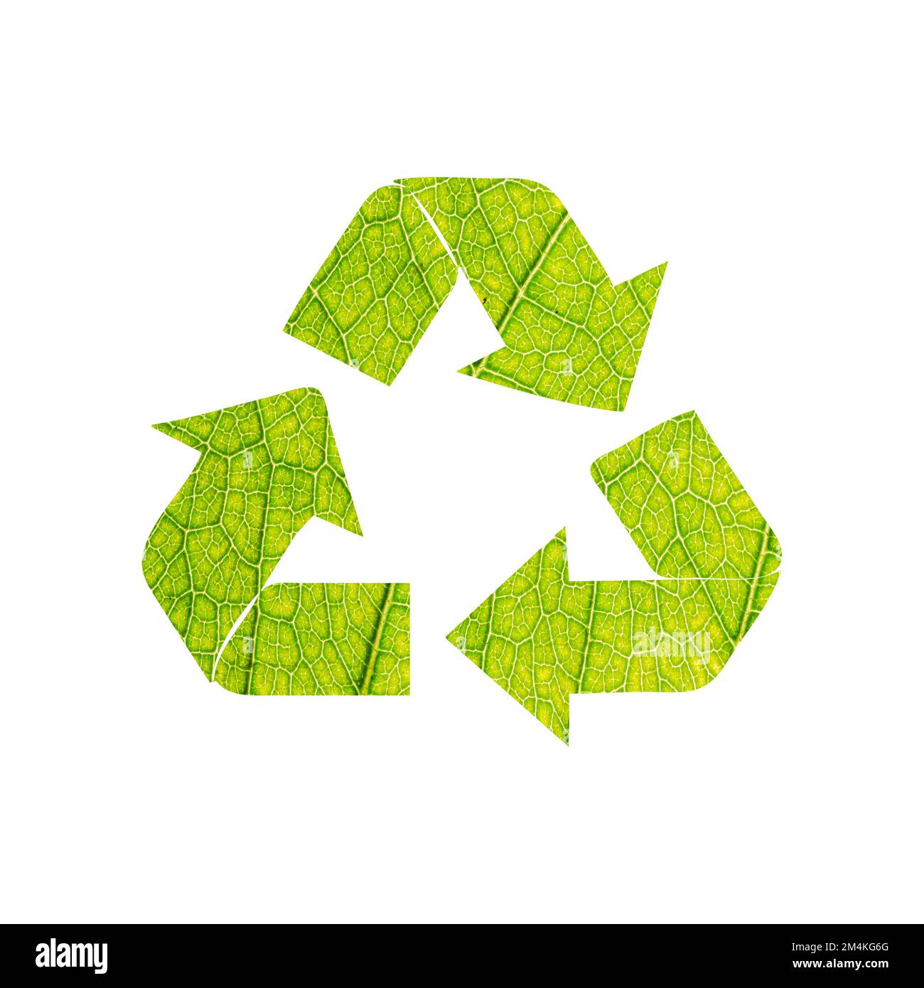 Recycle symbol with green leaf vein background. Stock Vector