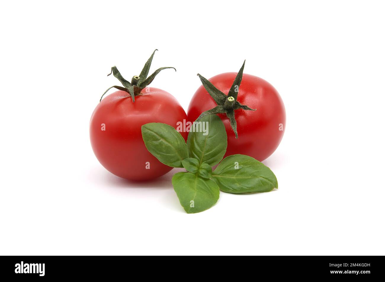 Tomato and green basil leaves isolated on white background Stock Photo ...