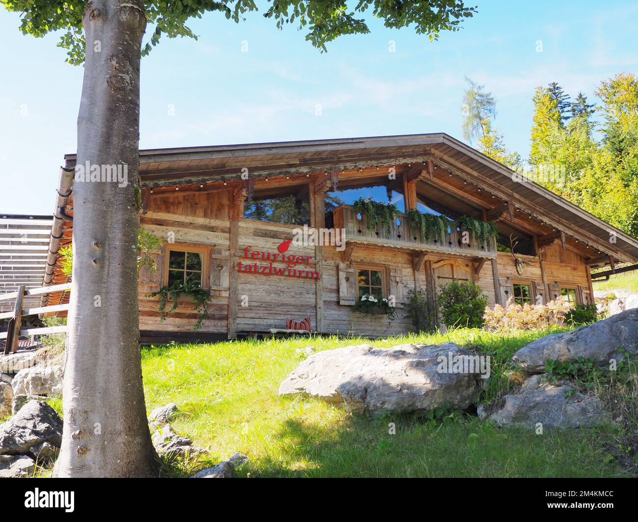 Feuriger tatzelwurm hi-res stock photography and images - Alamy