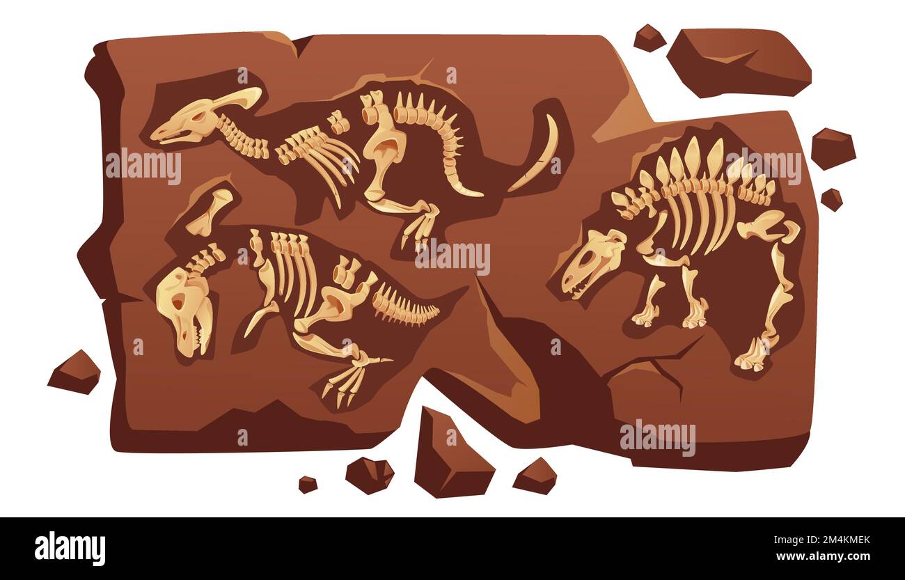 Dinosaur fossil bones, dino skeletons in piece of stone isolated on white background. Old dead prehistoric animals of jurassic ages. Paleontology, archaeology science items Cartoon vector illustration Stock Vector
