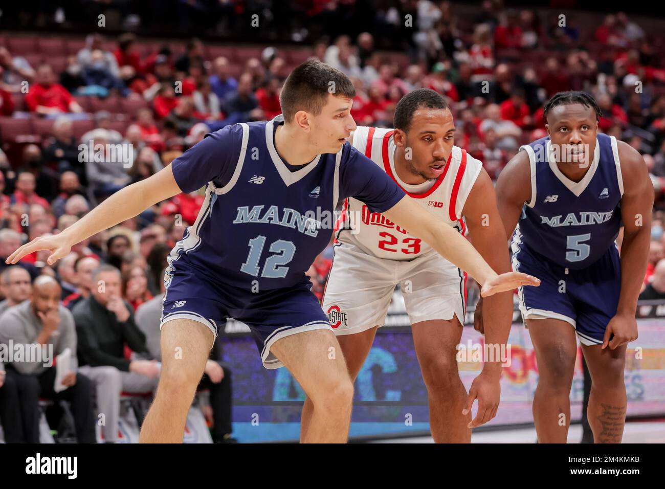 Columbus, Ohio, USA. 21st Dec, 2022. Maine Black Bears forward Milos Nenadic (12) and Ohio State Buckeyes guard Zed Key (23) jockey for position on a free throw during the game between the Maine Black Bears and the Ohio State Buckeyes at Value City Arena, Columbus, Ohio. (Credit Image: © Scott Stuart/ZUMA Press Wire) Stock Photo