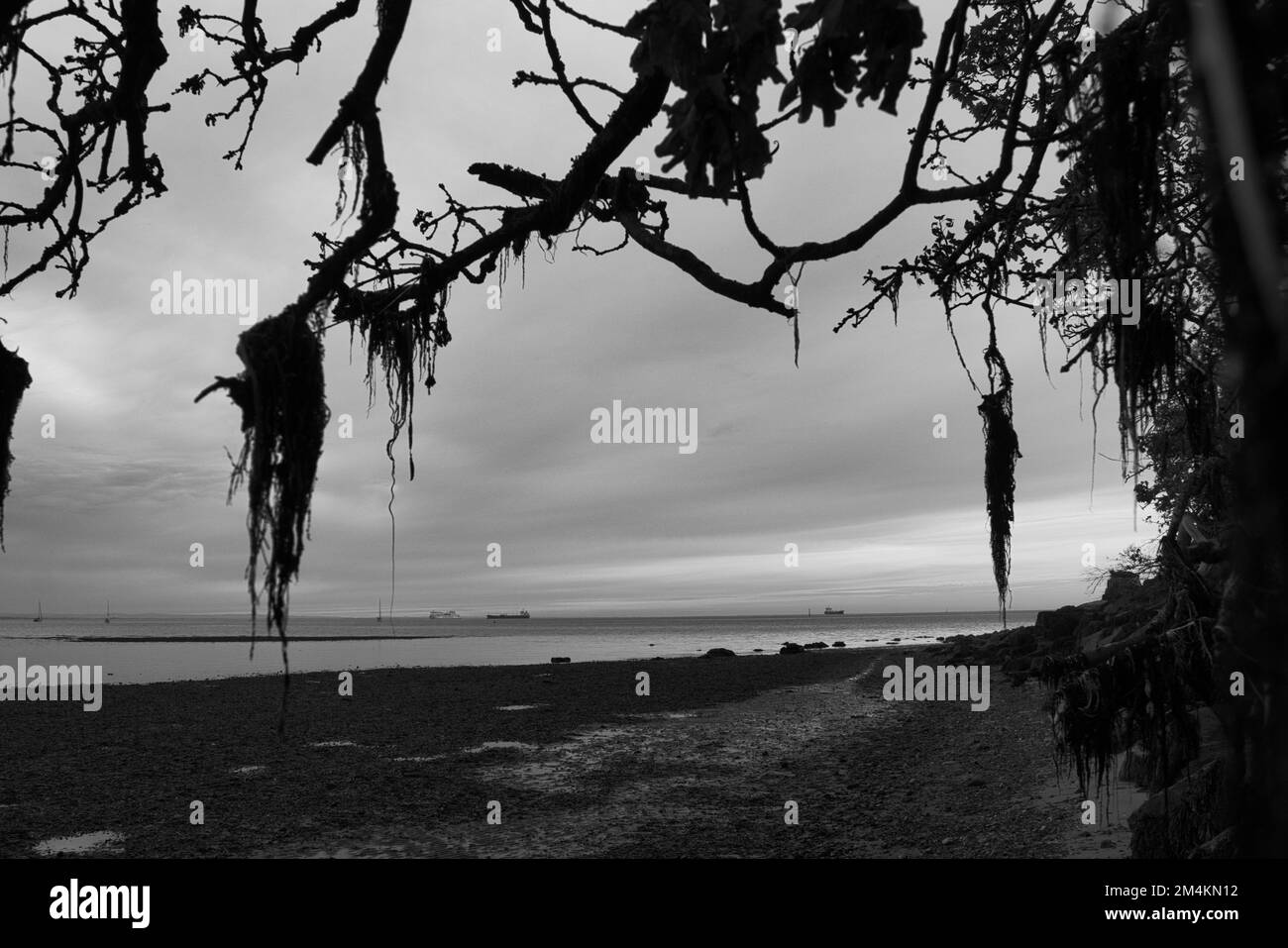 Isle of wight view Black and White Stock Photos & Images - Alamy