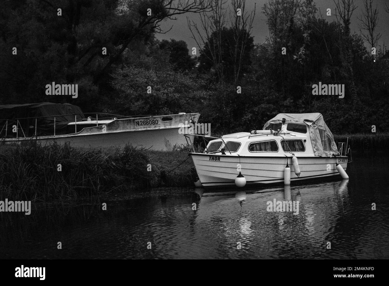A monochrome shot of the boat on the lake with trees in the background Stock Photo