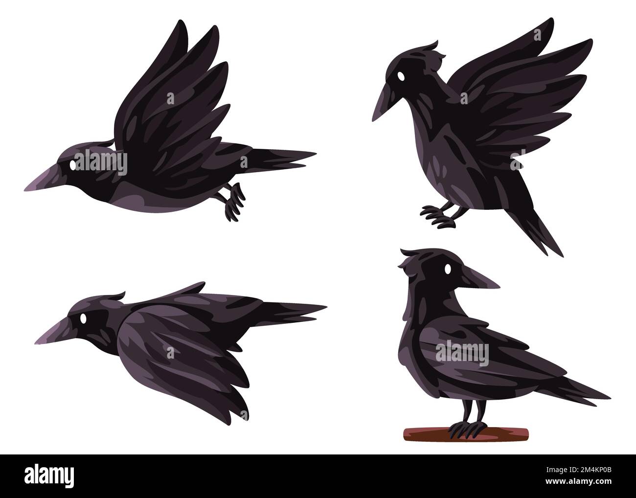 Black crow bird gothic raven corvus poses fly stand graphic