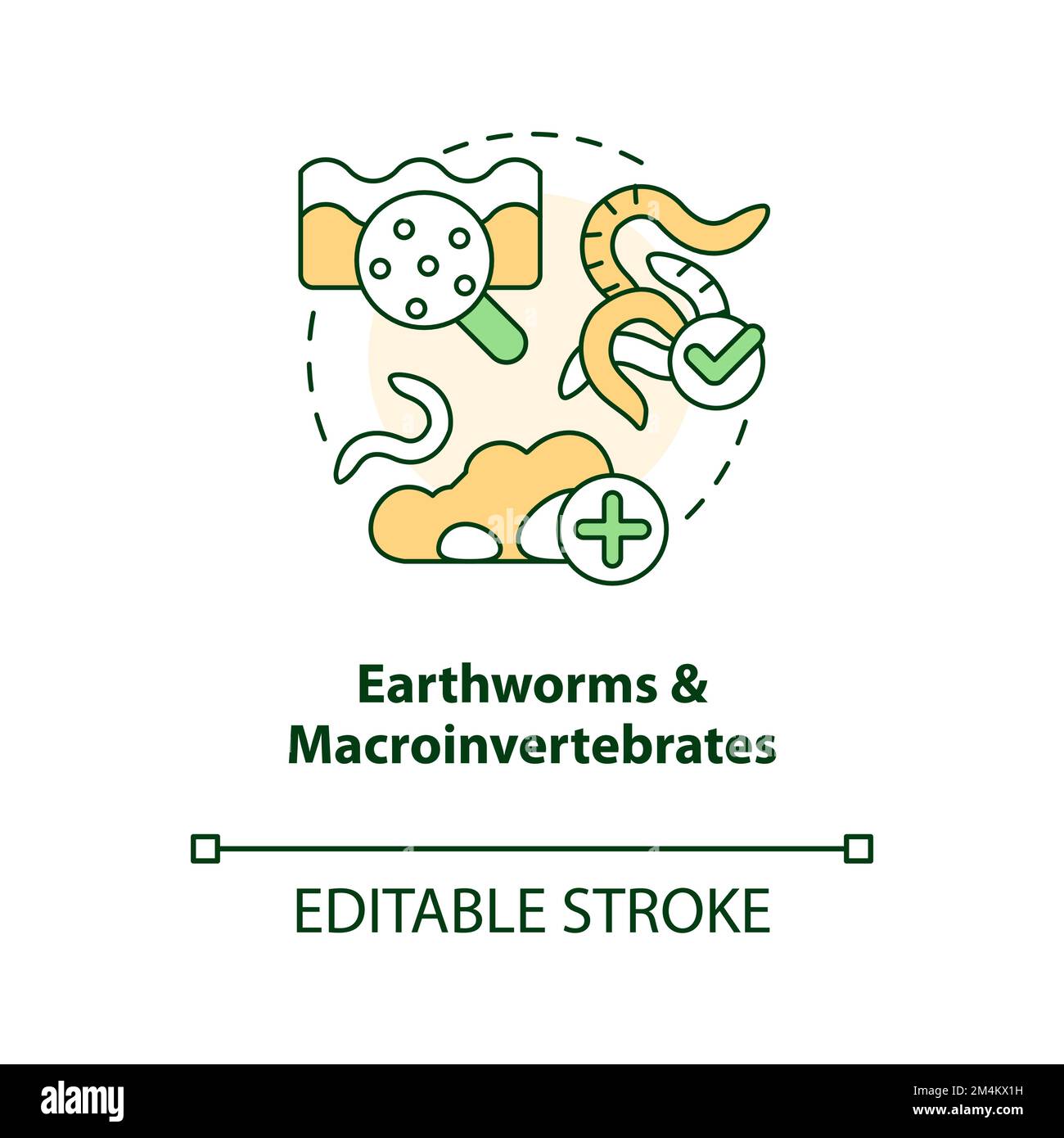 Earthworms and macroinvertebrates concept icon Stock Vector