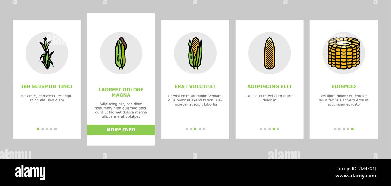 corn maize green, cob sweet onboarding icons set vector Stock Vector ...