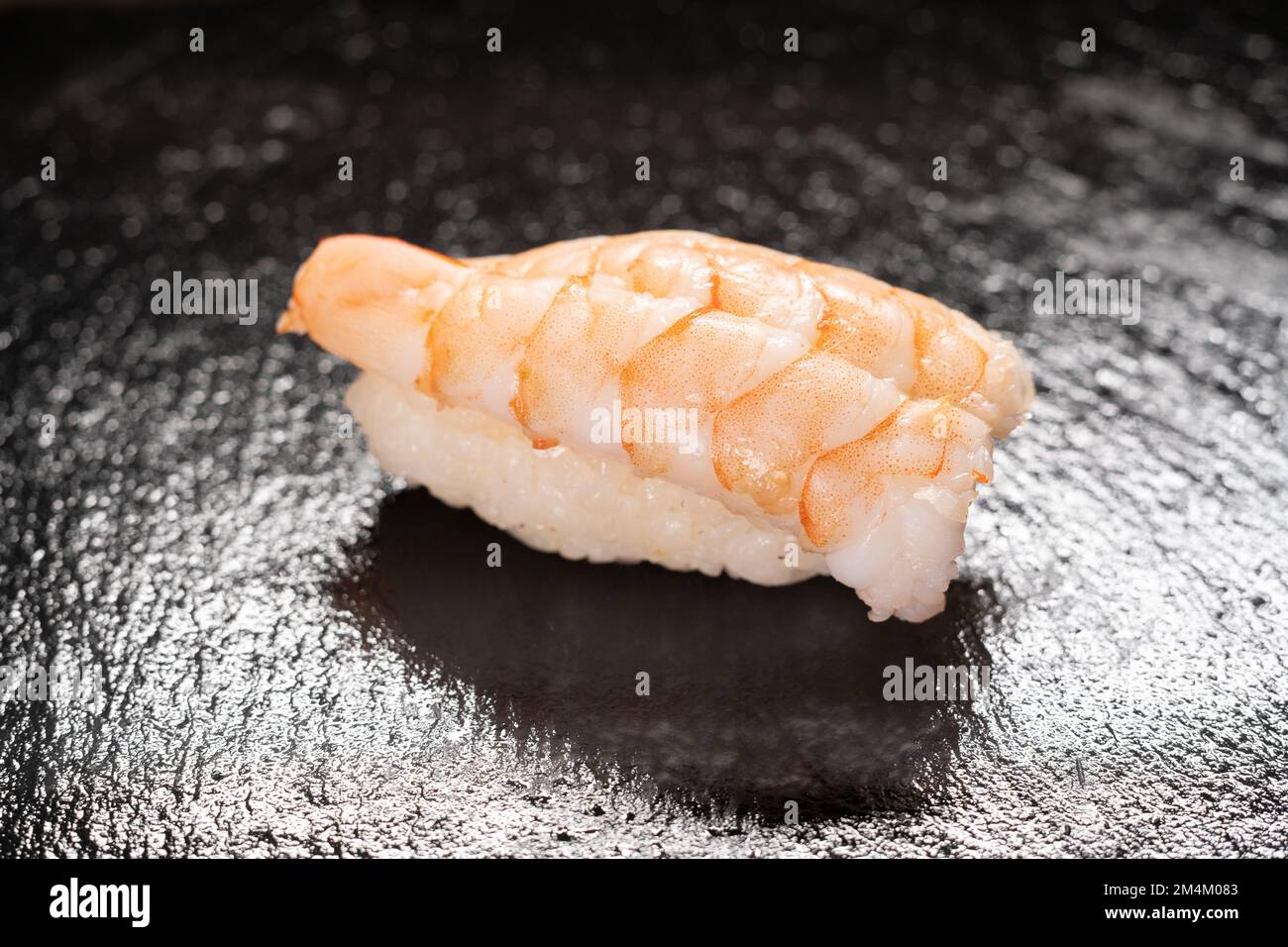 Ebi sushi, Japanese shrimp on Japanese rice. Nigiri ebi sushi. Japanese