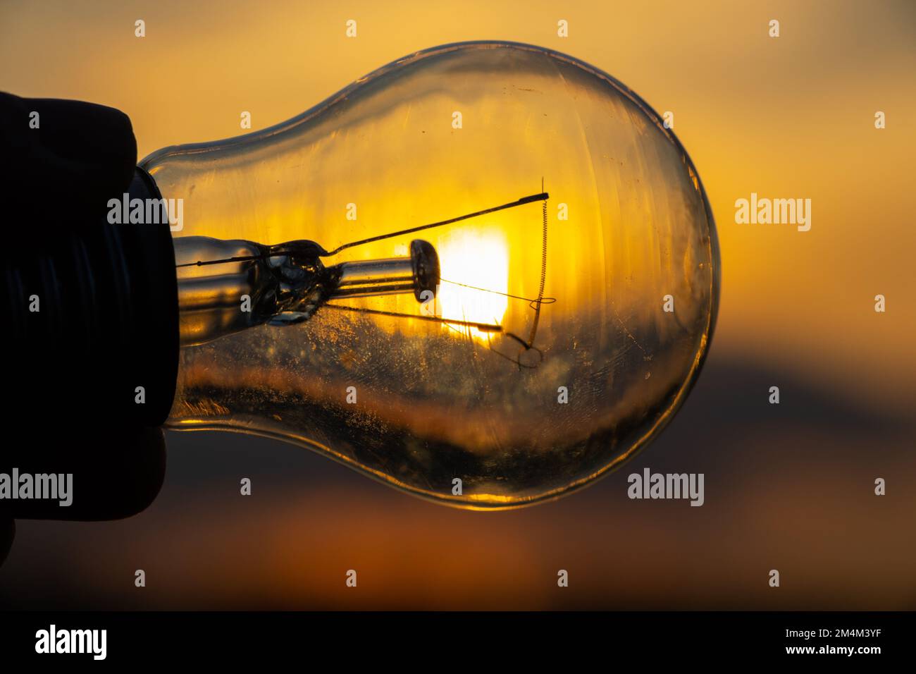 incandescent light bulb in hand on sunset background close up Stock Photo
