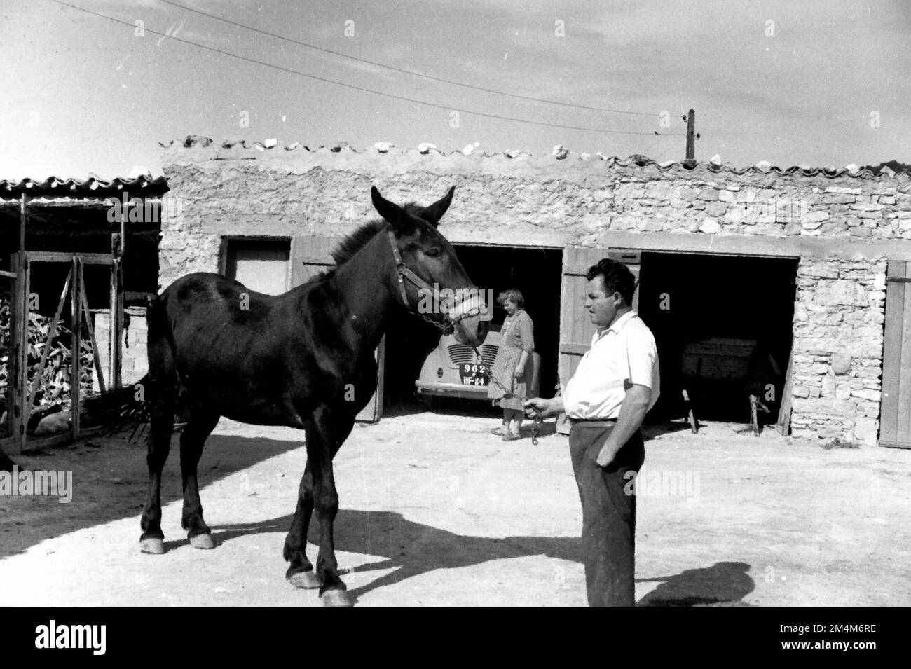 Banat Refugees Rejuvenates French Village. Photographs of Marshall Plan