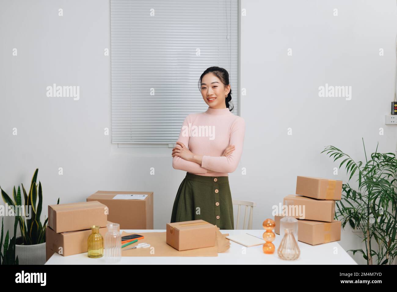 Smiling asian businesswoman arms hi-res stock photography and images ...