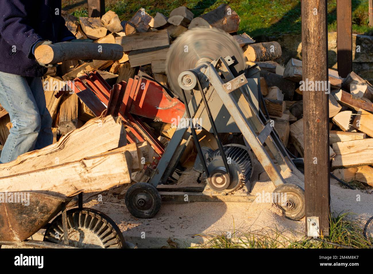 Sawing firewood with circular saw. Man cutting fuelwood on a large