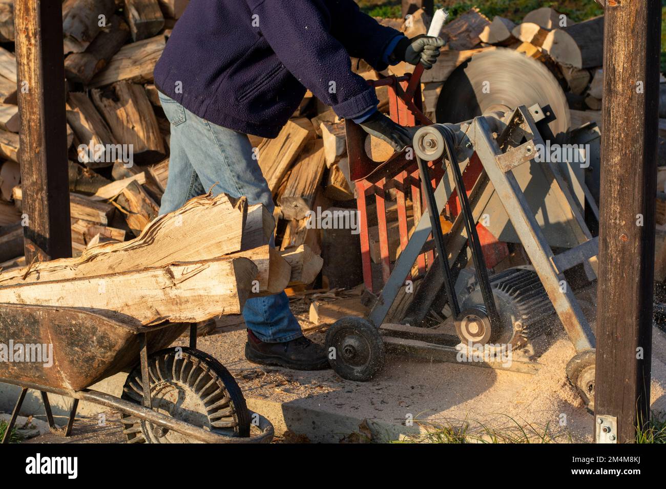 Sawing firewood with circular saw. Man cutting fuelwood on a large
