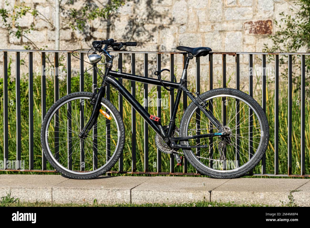 Marin hamilton 2025 29er