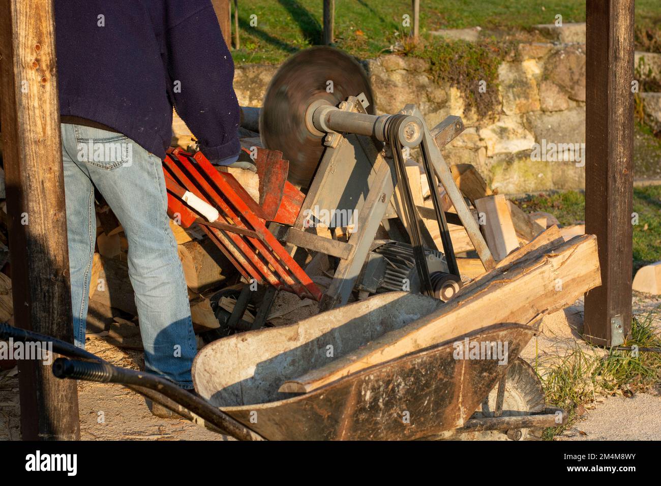 Sawing firewood with circular saw. Man cutting fuelwood on a large