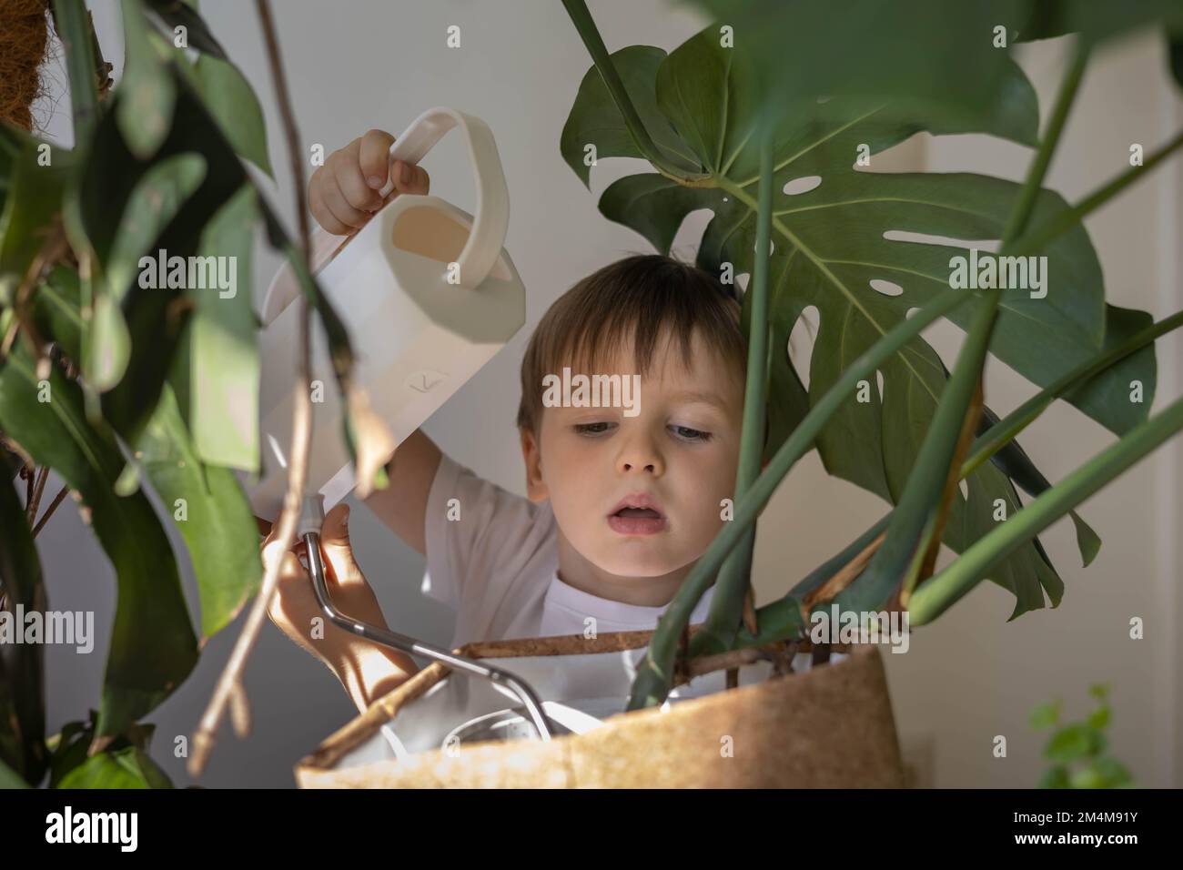 Little cute boy is watering indoor plants from a stylish watering can