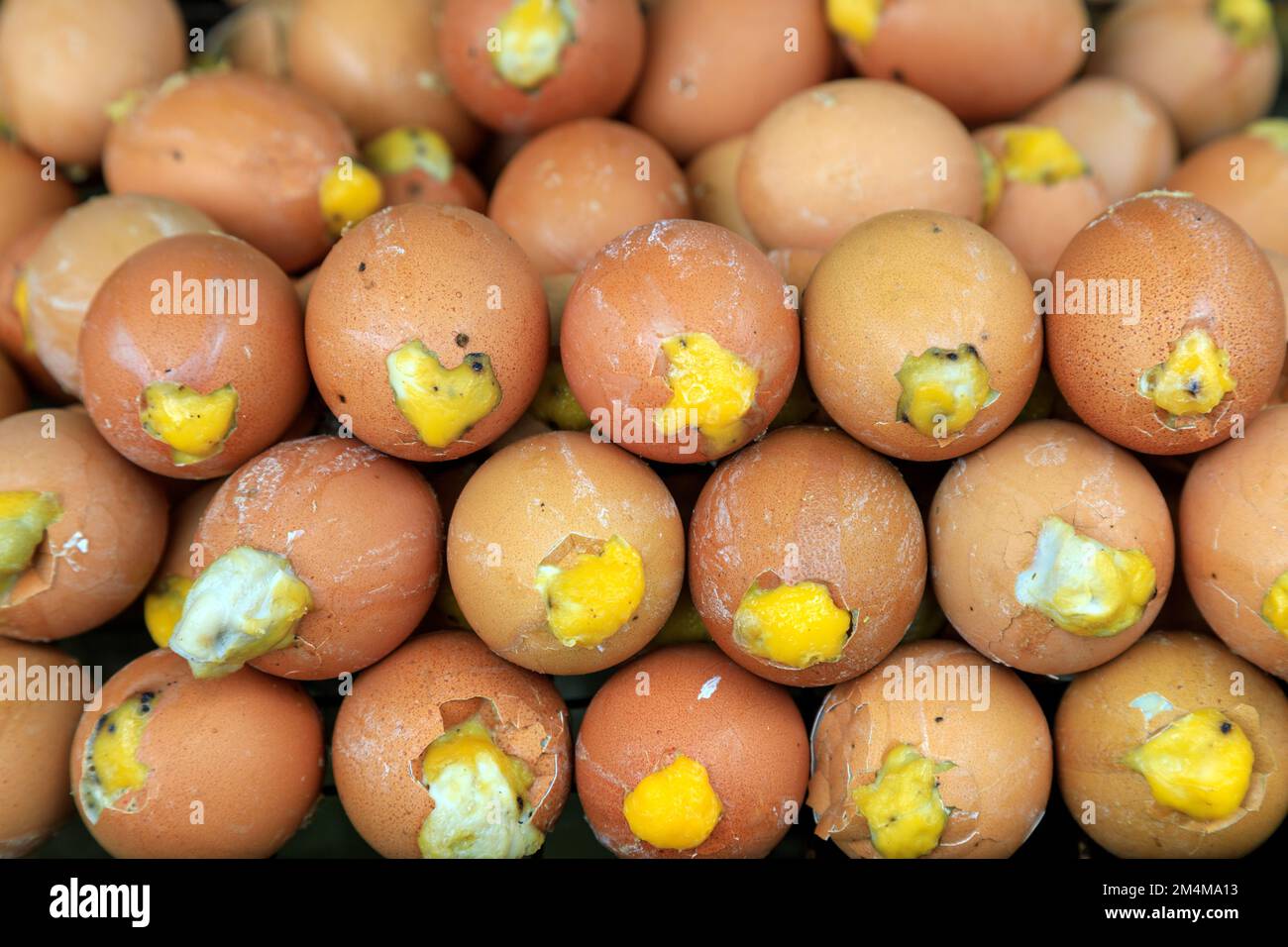 Balut is a fertilized developing egg embryo that is boiled or steamed and eaten from the shell. It is commonly sold as street food in South China and Stock Photo