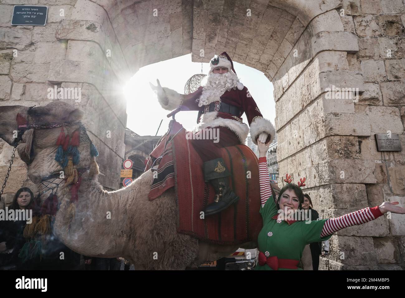 Jerusalem, Israel. 22nd Dec, 2022. Santa Claus, or 'Baba Noel' as he is called in Arabic, is escorted by an elf as he rides a camel substitute for reindeer at Jerusalem's Old City New Gate. The Jerusalem Municipality and the Jewish National Fund distributed specially grown Arizona Cypress Christmas trees to the Christian population at the Jaffa Gate. Credit: Nir Alon/Alamy Live News Stock Photo