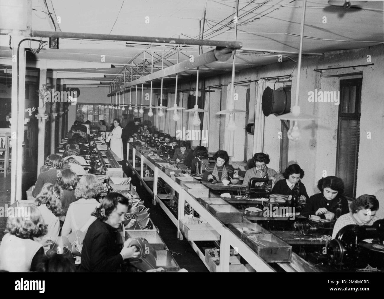 French Shoe Factory Boosts Production (ROC, shoe Fact Antun