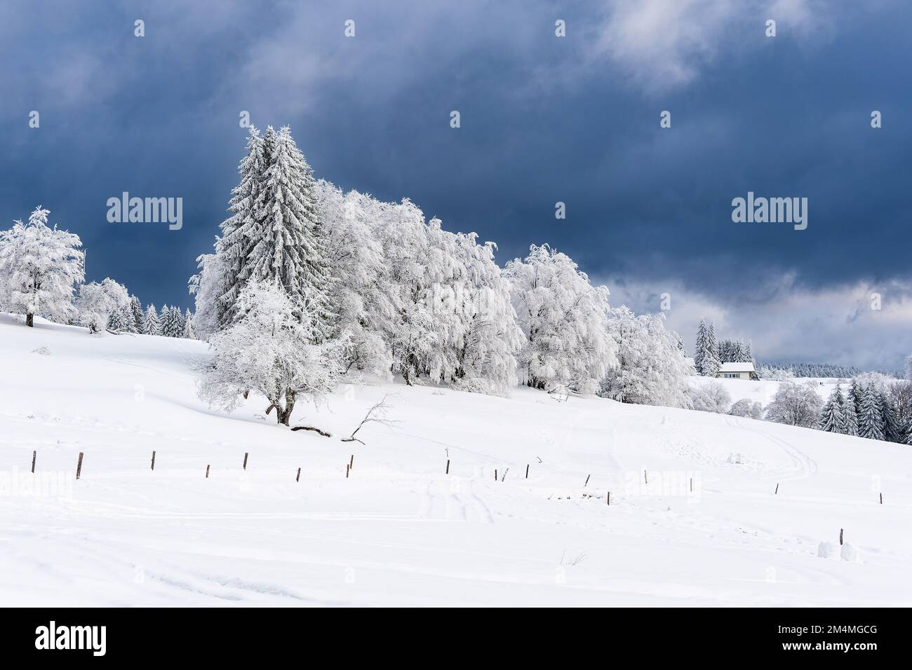 Thuringia Winter Landscape In Winter In Thuringian Forest Near Schmiedefeld Am Rennsteig ...