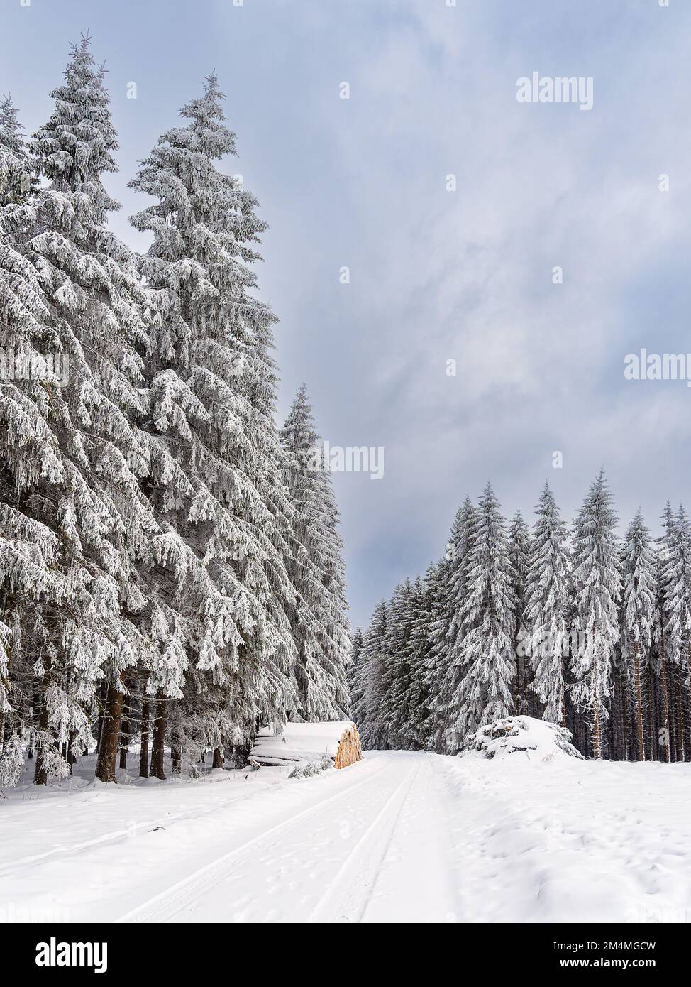 Landscape In Winter In Thuringian Forest Near Schmiedefeld Am Rennsteig. Stock Photo