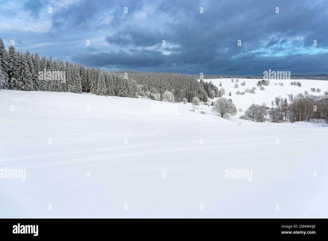 Thuringia Winter Landscape In Winter In Thuringian Forest Near Schmiedefeld Am Rennsteig ...