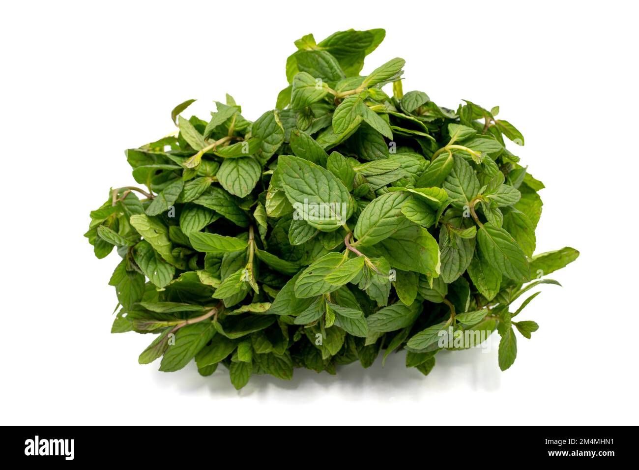 Mint isolated on a white background. Clipping Path. Full depth of field. Mint bunch. close up Stock Photo