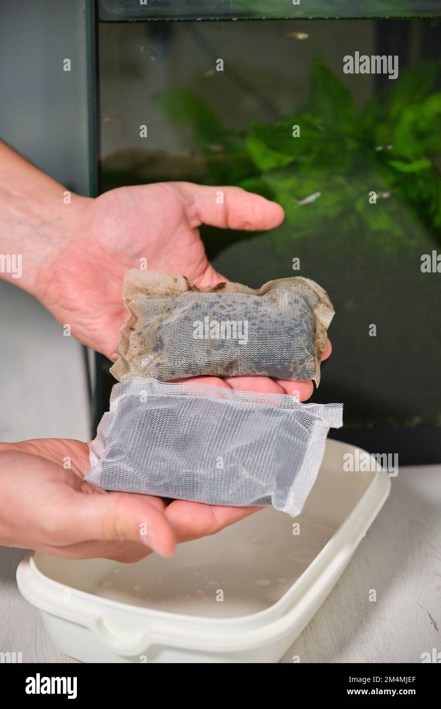Hands comparing old and new activated carbon material of a fish tank