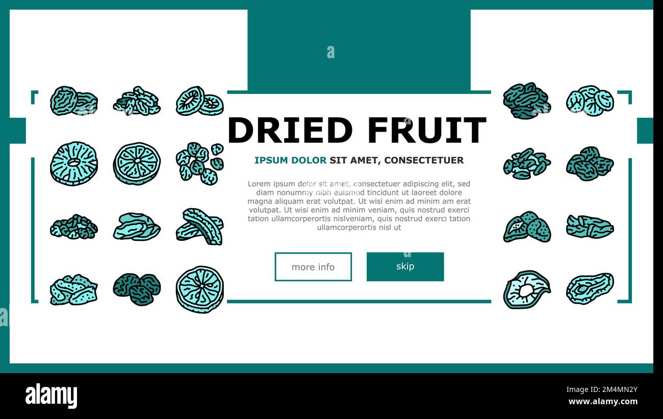 dried fruit healthy snack landing header vector Stock Vector Image ...