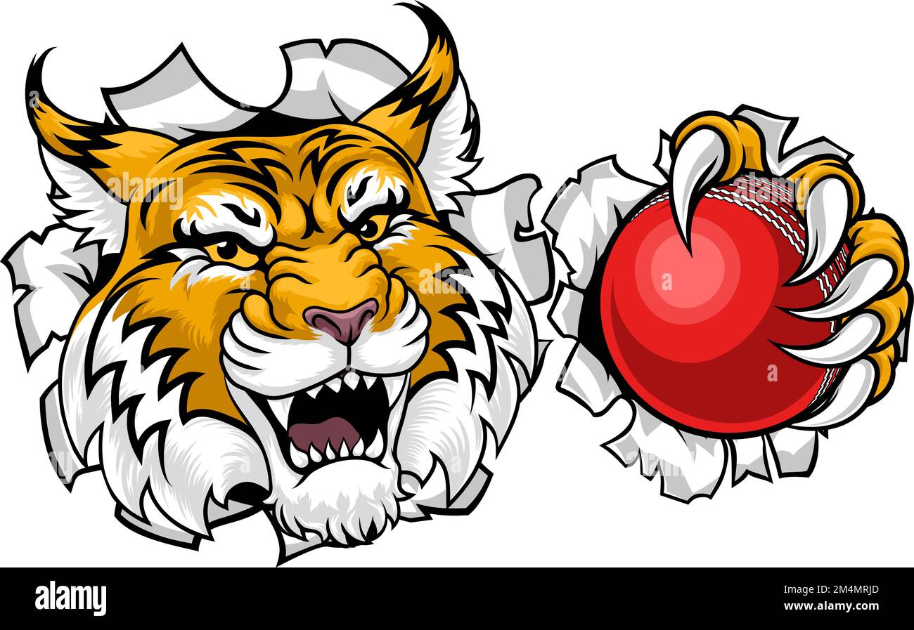 Wildcat Bobcat Cricket Ball Animal Team Mascot Stock Vector