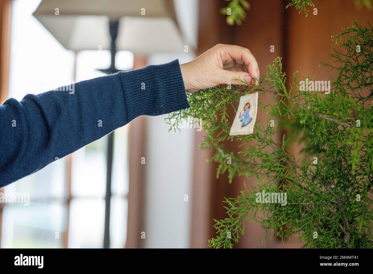 christmas tree ornaments hanging in a huon pine in australia in summer