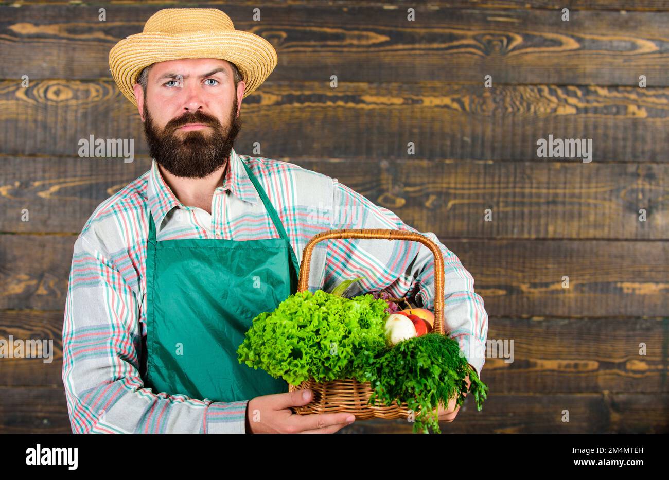Man bearded farmer presenting eco vegetables wooden background. Farmer