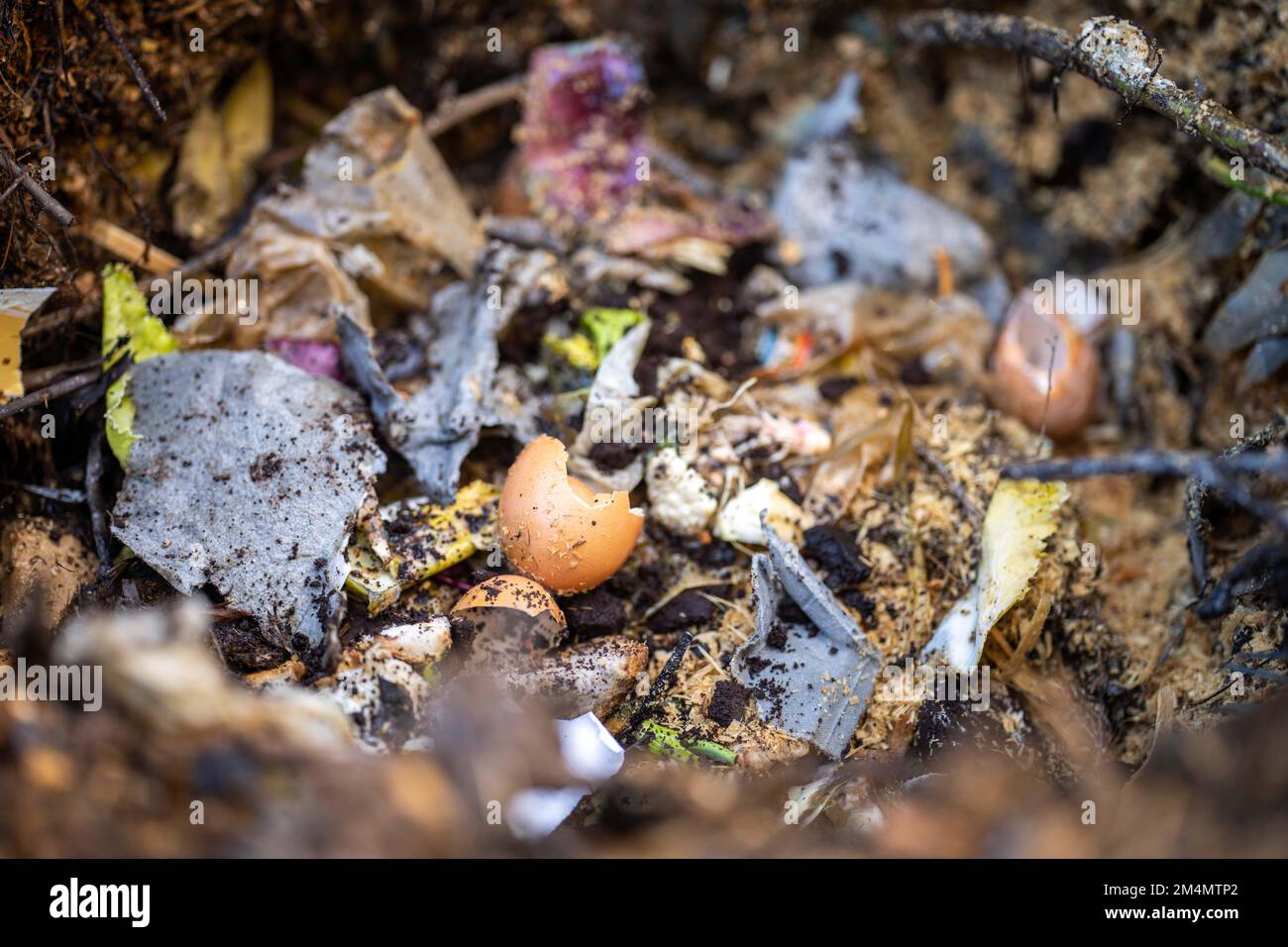 food scraps composting in a compost bin in a backyard in australia in