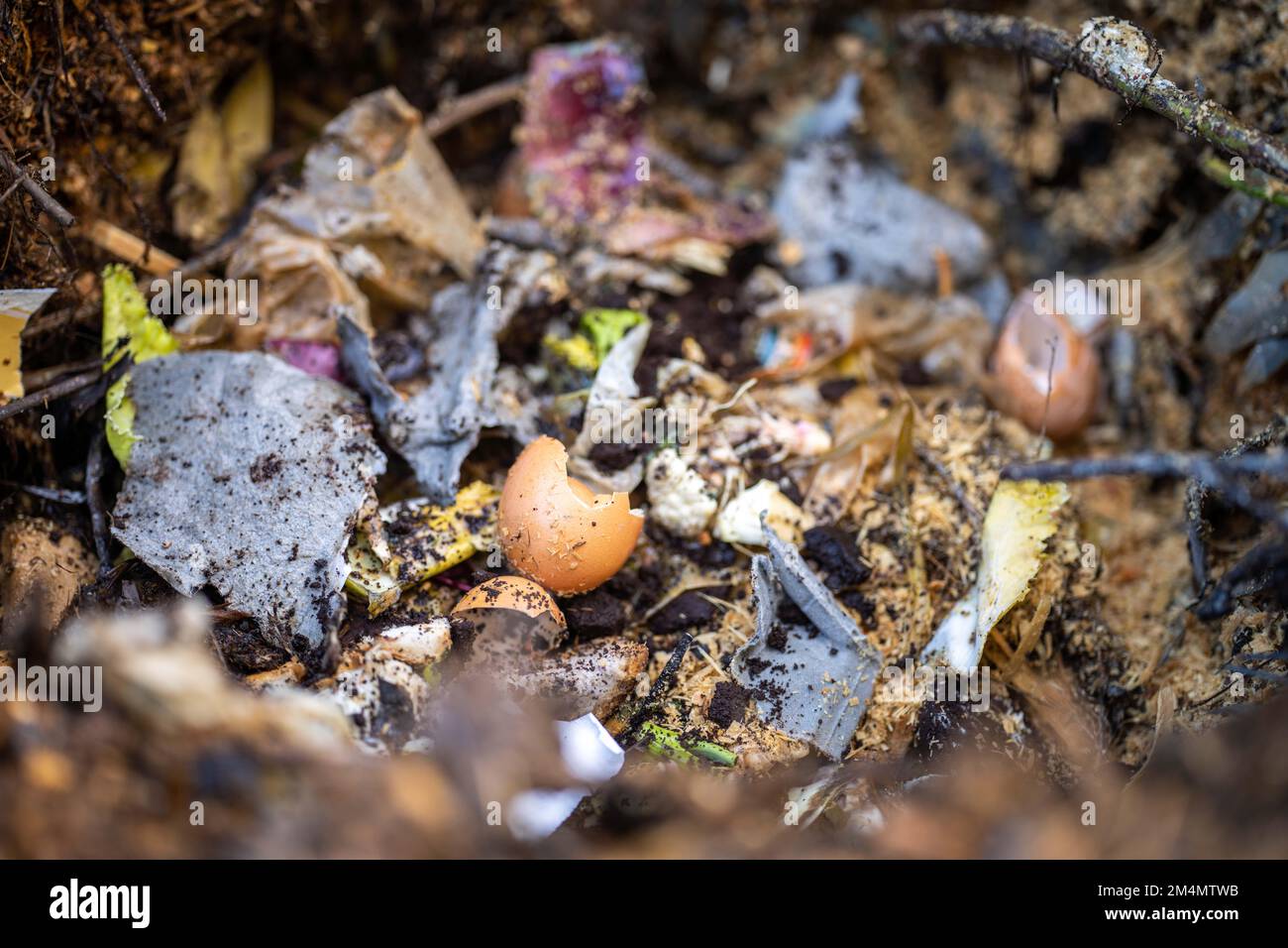 adding food waste to a compost pile. egg shell, vegetable, and fruit