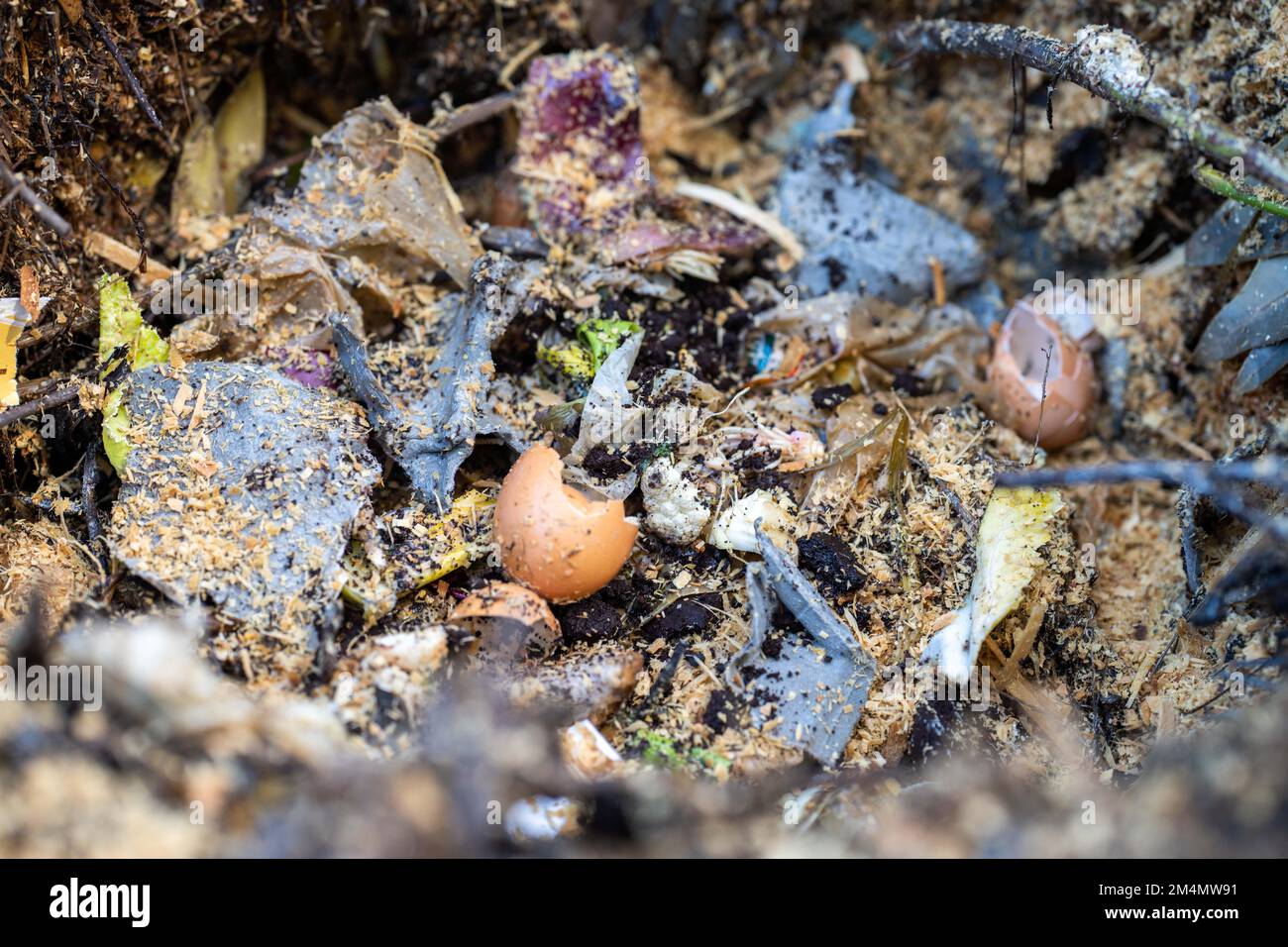 food scraps composting in a compost bin in a backyard in australia in ...
