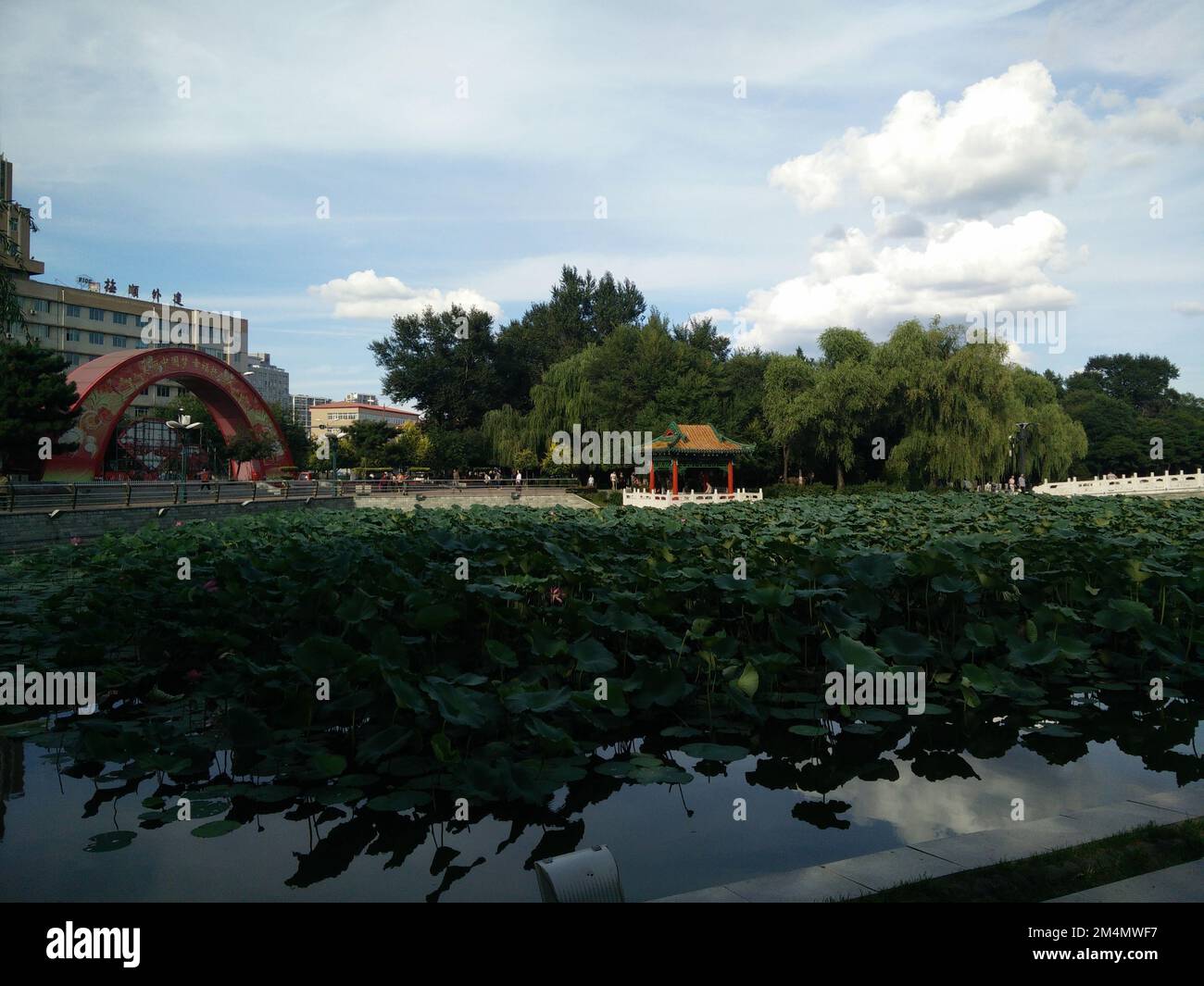 A view of the park with green trees Stock Photo - Alamy