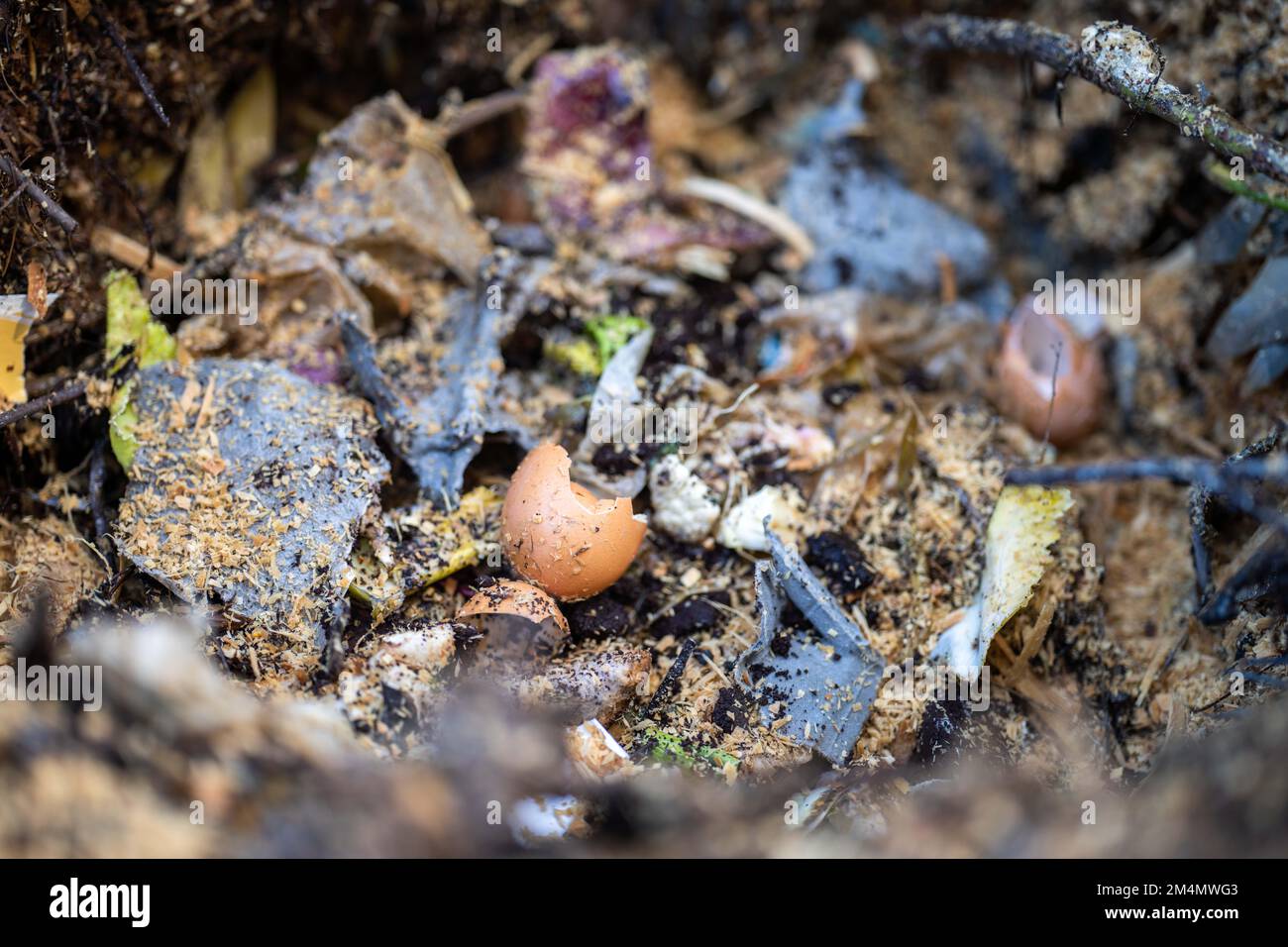 Turning a soil food web thermophilic compost pile full of microorganisms, in America and Australia. in spring Stock Photo