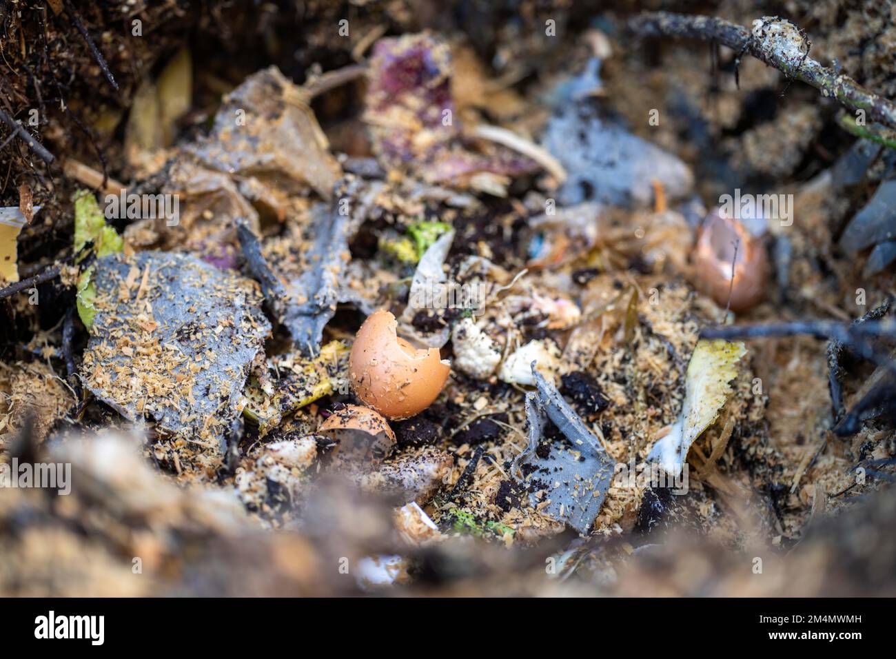 Turning a soil food web thermophilic compost pile full of microorganisms, in America and Australia. in spring Stock Photo