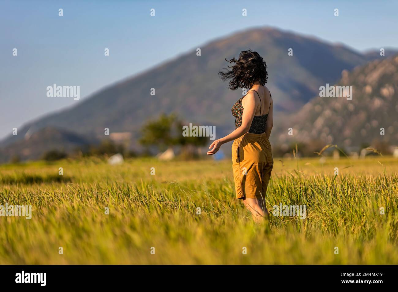 WOMAN RELAXING ON RICE FIELD AND WIND FARM OR WIND PARK BACKGROUND, WITH HIGH WIND TURBINES FOR GENERATION ELECTRICITY WITH COPY SPACE, WIND POWER HAS Stock Photo
