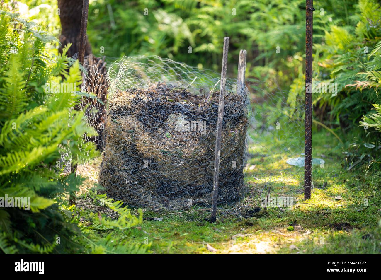 adding food waste to a compost pile. egg shell, vegetable, and fruit
