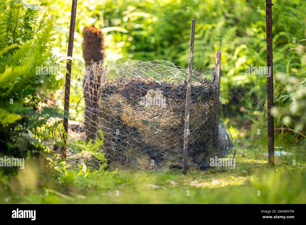food scraps composting in a compost bin in a backyard in australia in