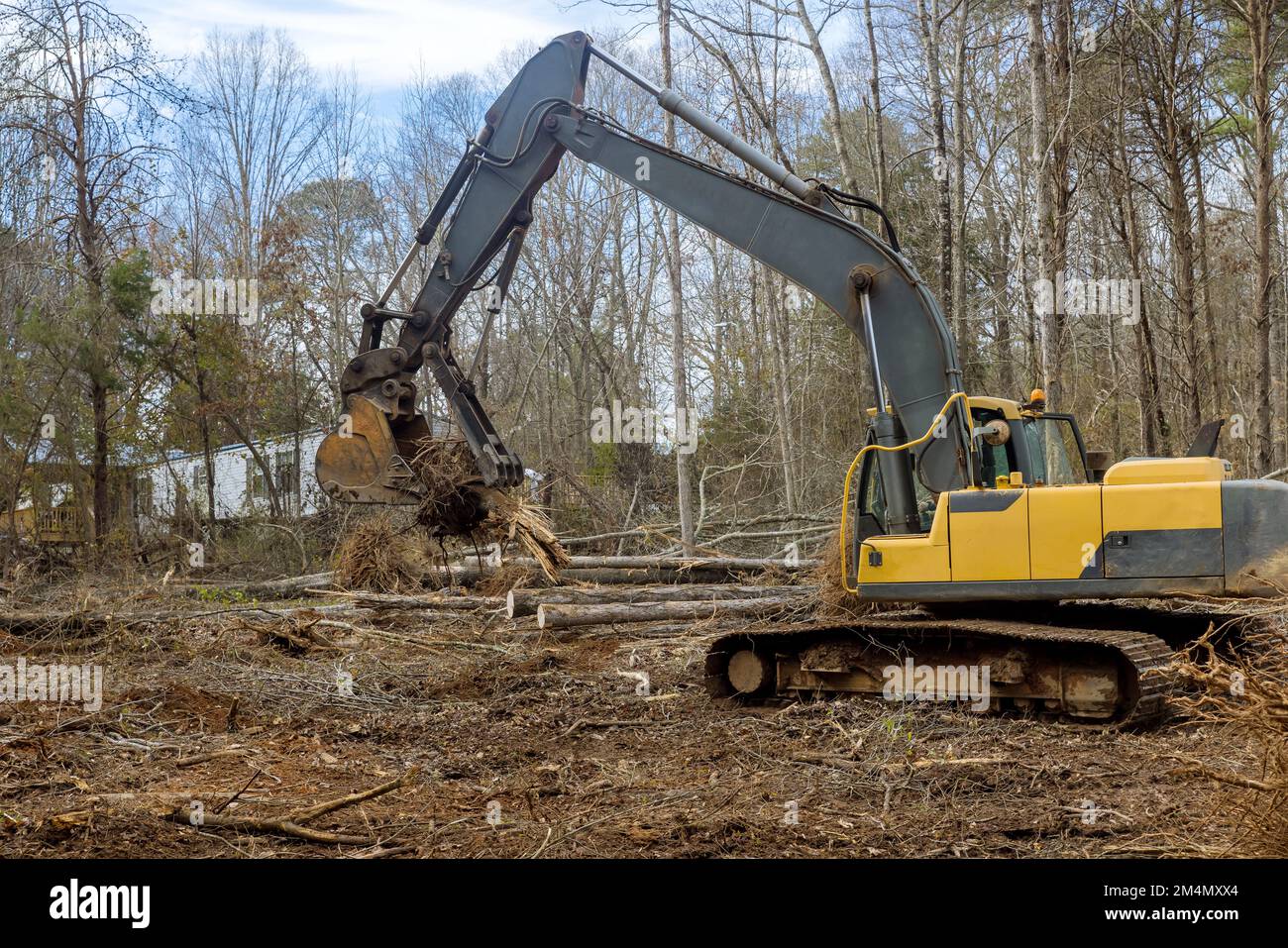 Removal of stump roots from trees which were cut down to clear land for