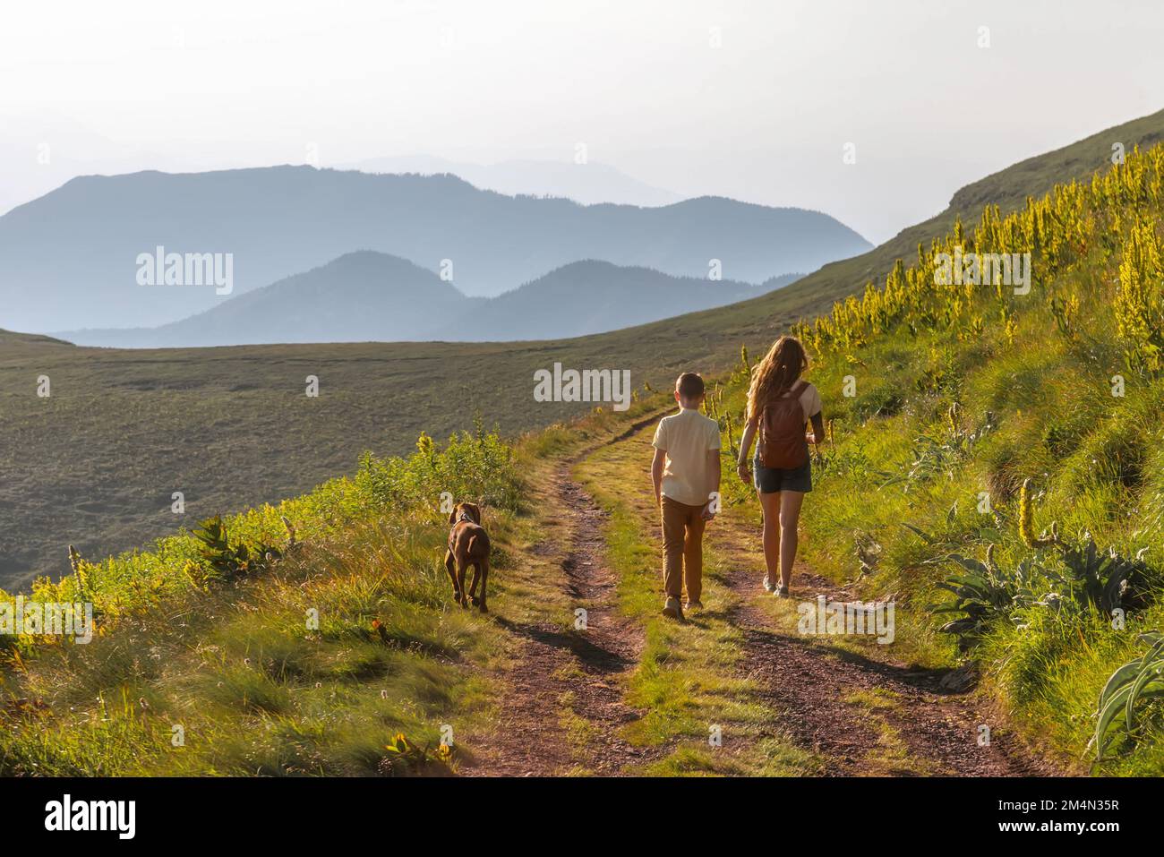 Happy Family with Child and Dog Hiking in Mountains Stock Photo - Alamy