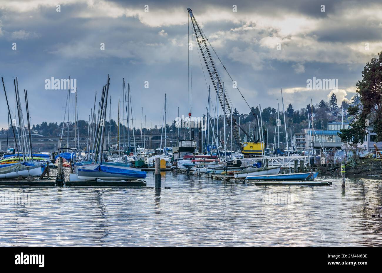 An illustration of the marina at the Leschi area of Seattle, Washington