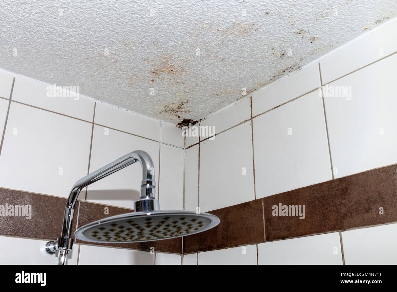 start of mold buildup on bathroom ceiling, wet wall Stock Photo Alamy