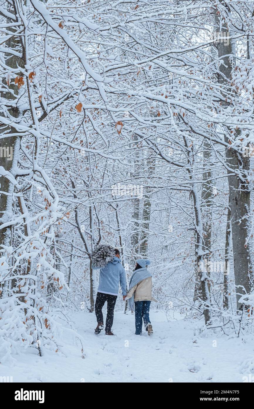 Smiling couple walking hand hand through forest hi-res stock ...