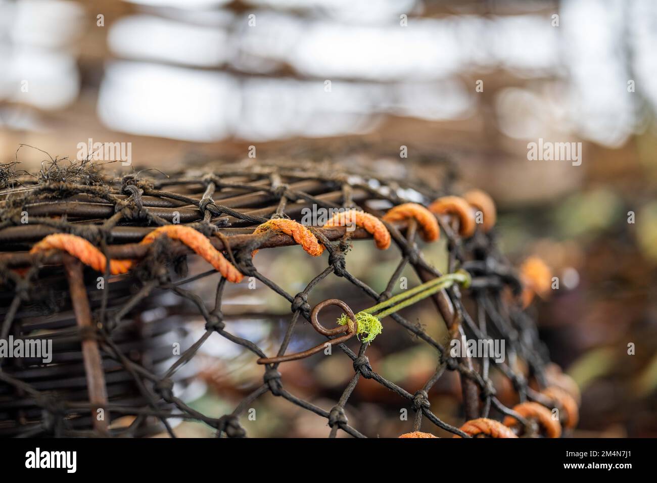 crayfish traps on a fishing boat. lobster wooden pots on the back of a