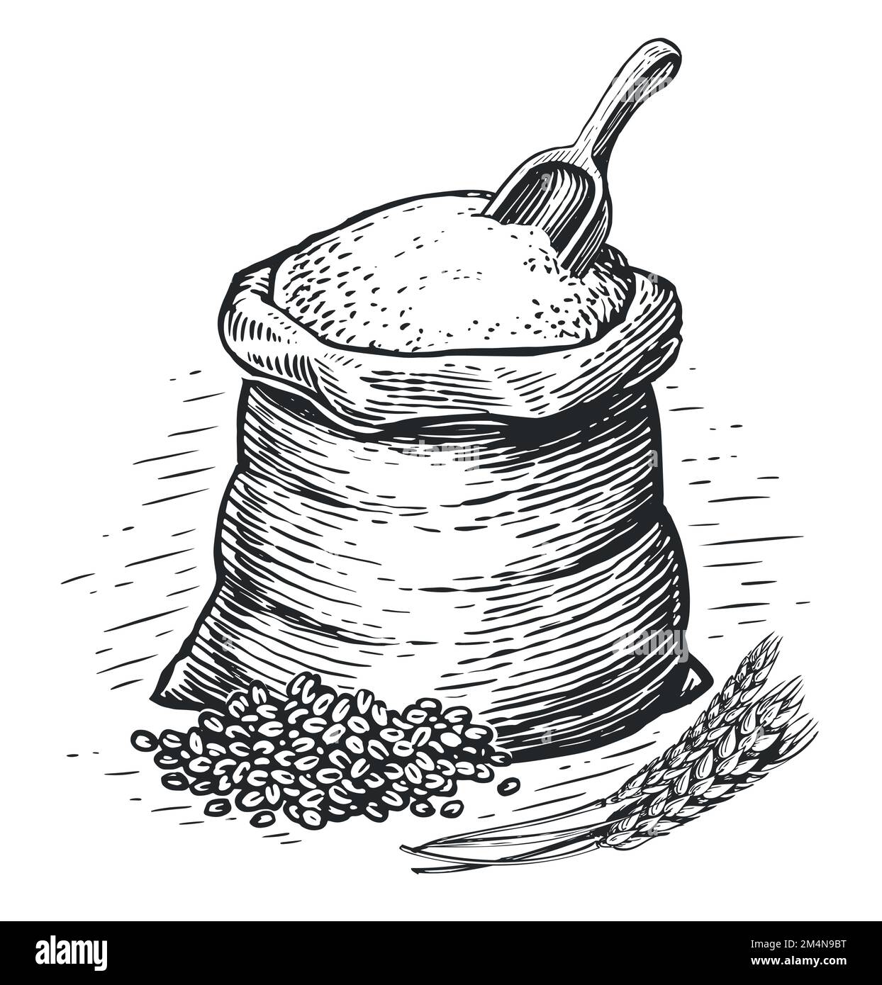 Full bag of flour with wooden scoop. Farm organic bread wheat for